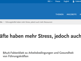 Führungskräfte haben mehr Stress und mehr Ressourcen