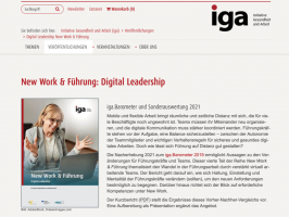 New Work &amp; Führung